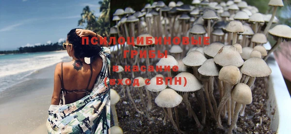 MESCALINE Медвежьегорск