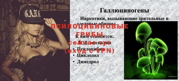 гашик Михайловка