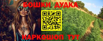 дживик Кимры