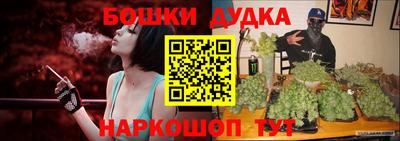 твердый Кингисепп