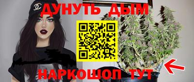 твердый Кингисепп