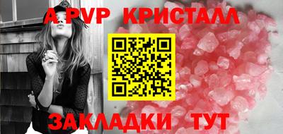 твердый Кингисепп