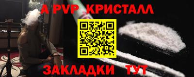 твердый Кингисепп