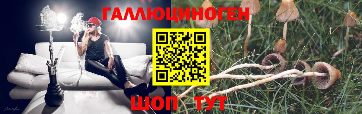 Псилоцибиновые грибы MAGIC MUSHROOMS  купить   Канск  Вход с VPN 