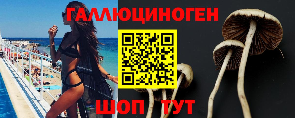 Псилоцибиновые грибы прущие грибы Канск