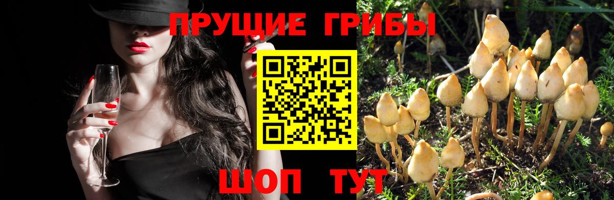 Псилоцибиновые грибы Magic Shrooms  Галлюциногенные грибы мухоморы  Канск 
